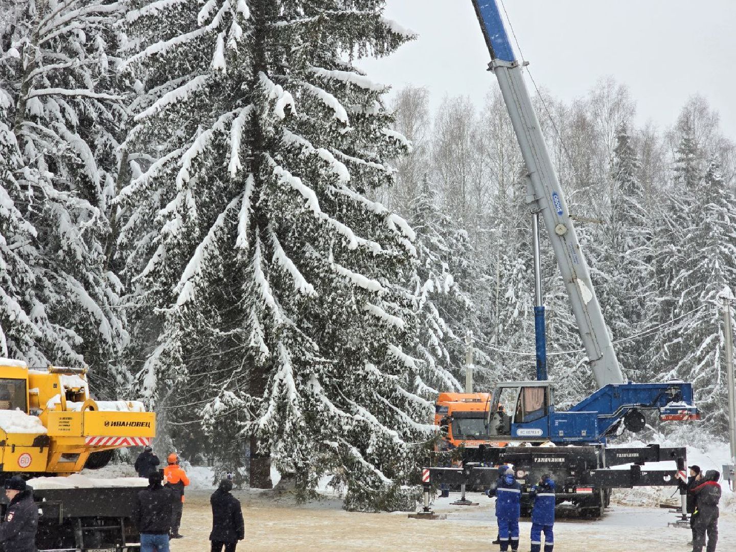 можайск, можайский городской округ, подмосковье, главная елка страны, новый год, праздник, кремль, соборная площадь, спил главной елки страны, московский кремль, вертикалки,