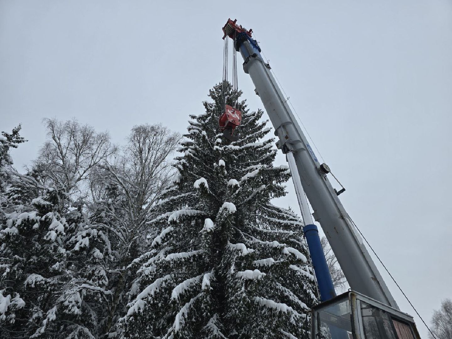 можайск, можайский городской округ, подмосковье, главная елка страны, новый год, праздник, кремль, соборная площадь, спил главной елки страны, московский кремль, вертикалки,