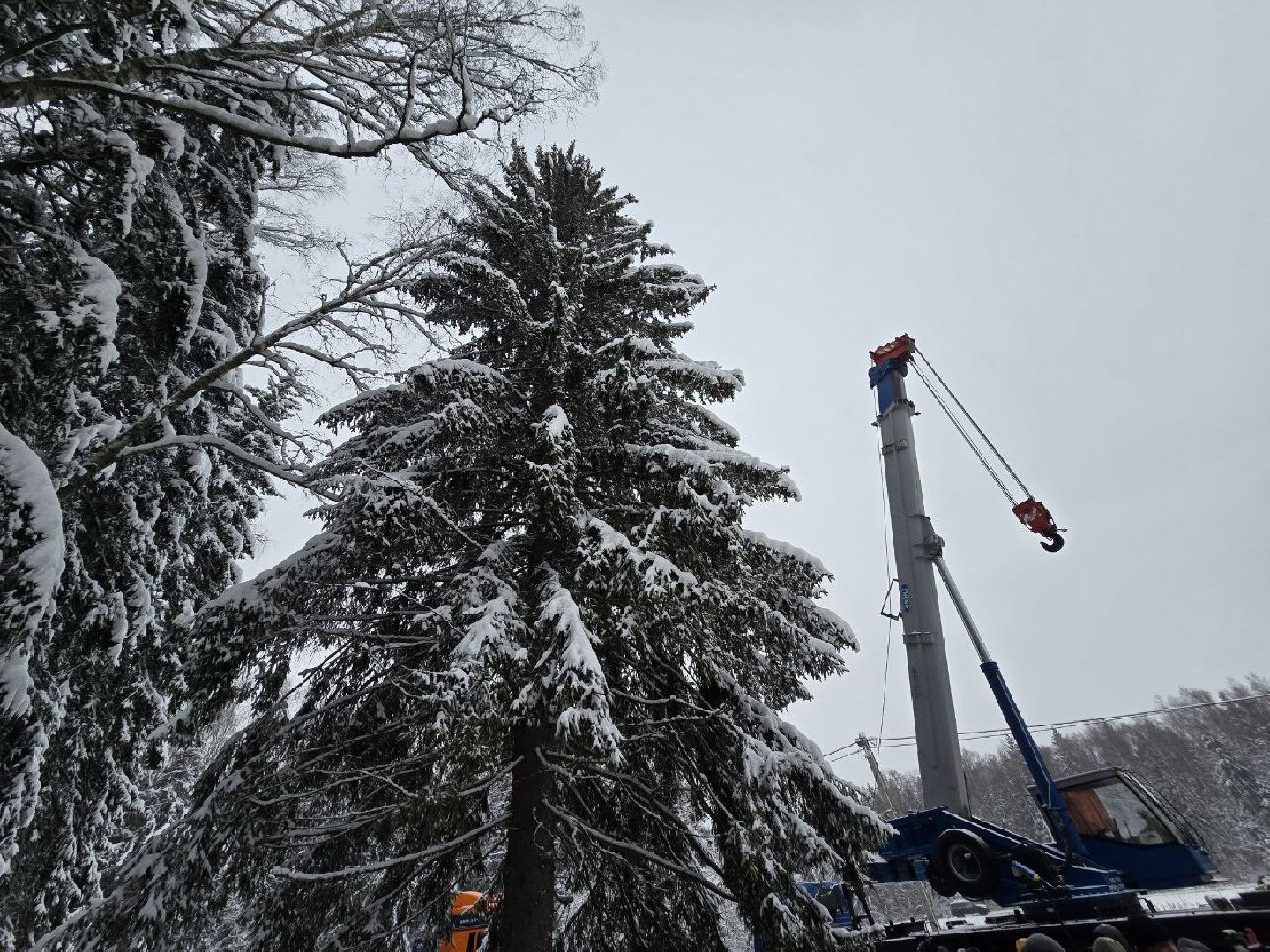можайск, можайский городской округ, подмосковье, главная елка страны, новый год, праздник, кремль, соборная площадь, спил главной елки страны, московский кремль, вертикалки,