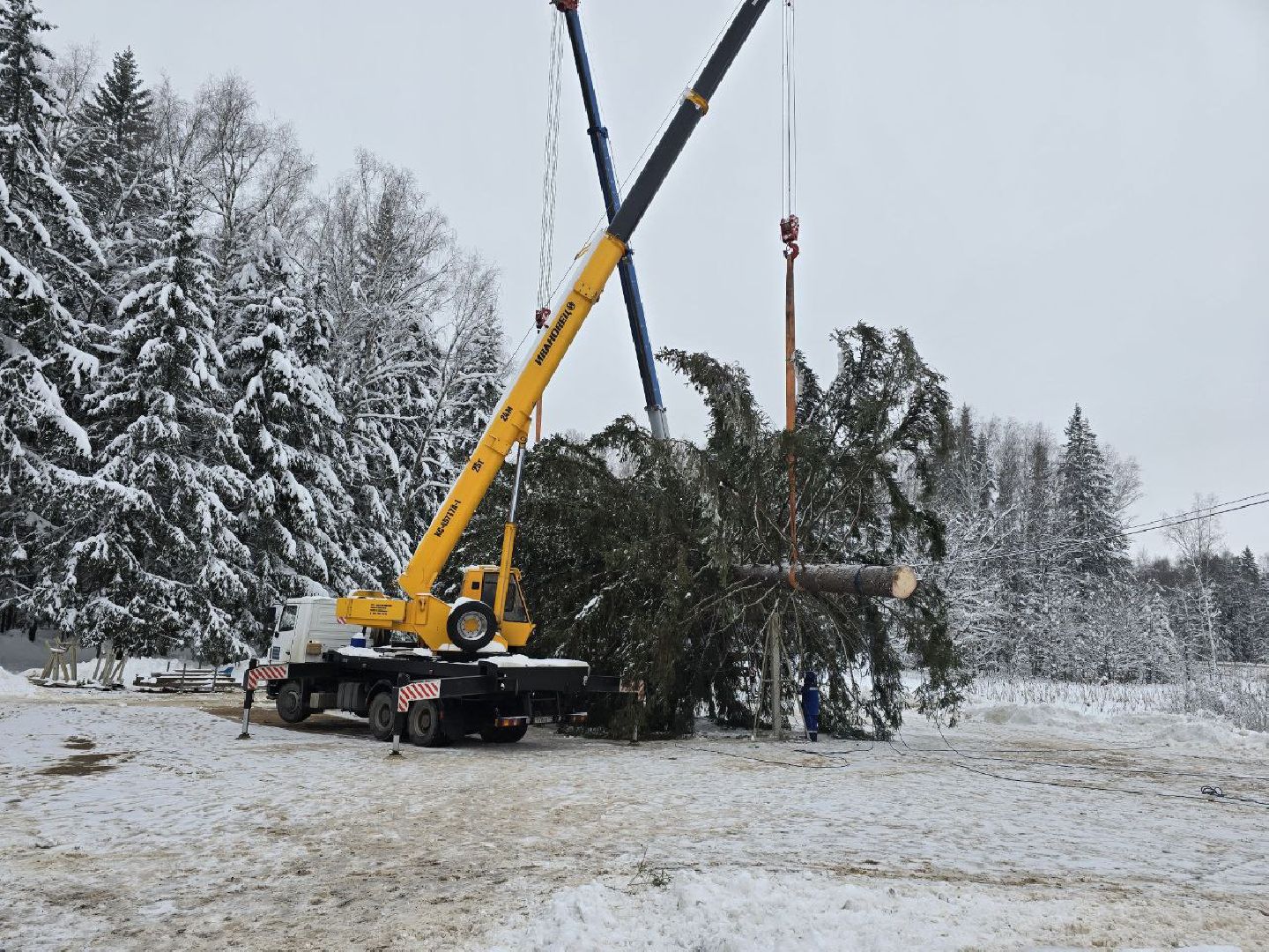 можайск, можайский городской округ, подмосковье, главная елка страны, новый год, праздник, кремль, соборная площадь, спил главной елки страны, московский кремль, вертикалки,
