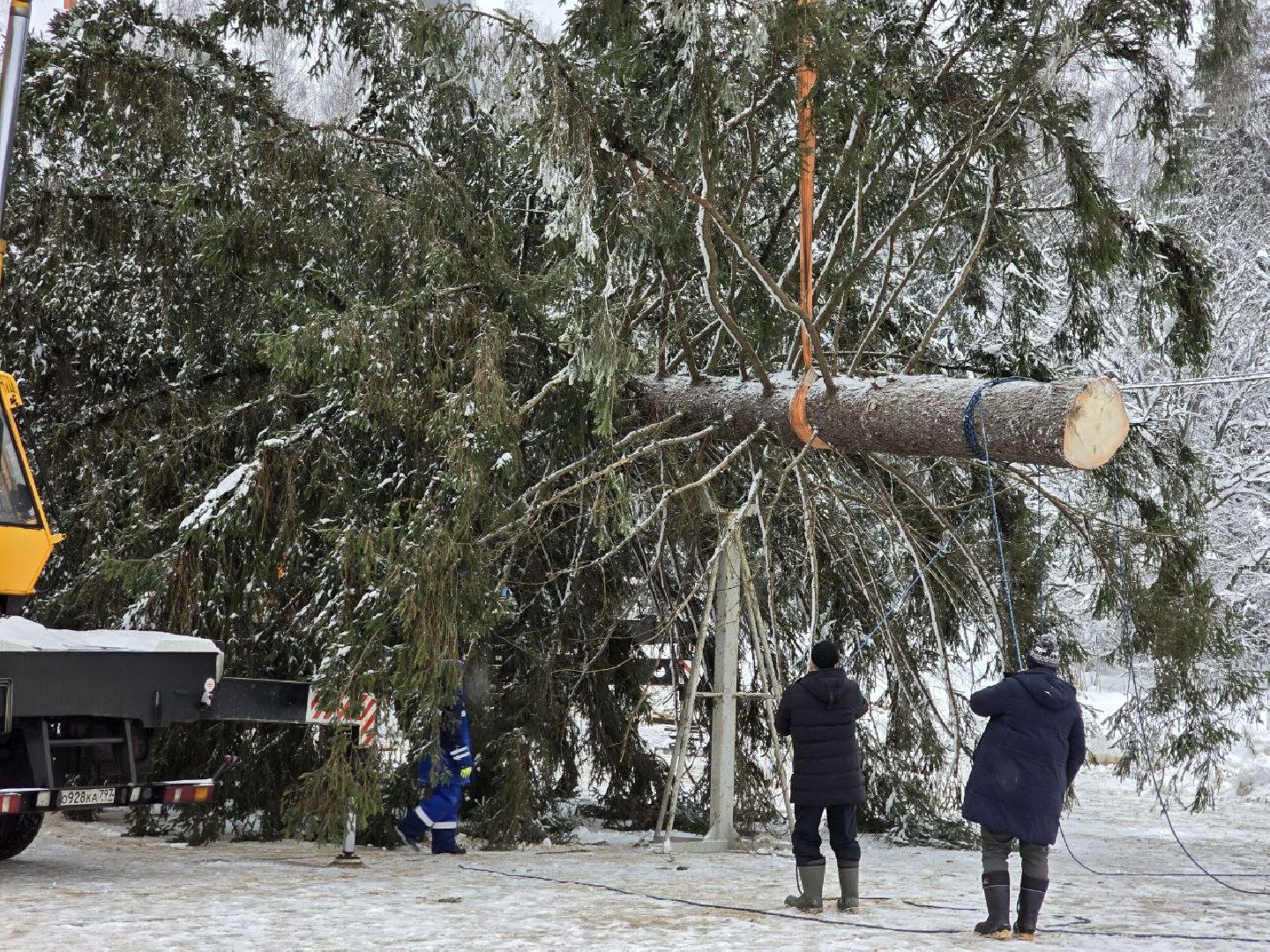 можайск, можайский городской округ, подмосковье, главная елка страны, новый год, праздник, кремль, соборная площадь, спил главной елки страны, московский кремль, вертикалки,
