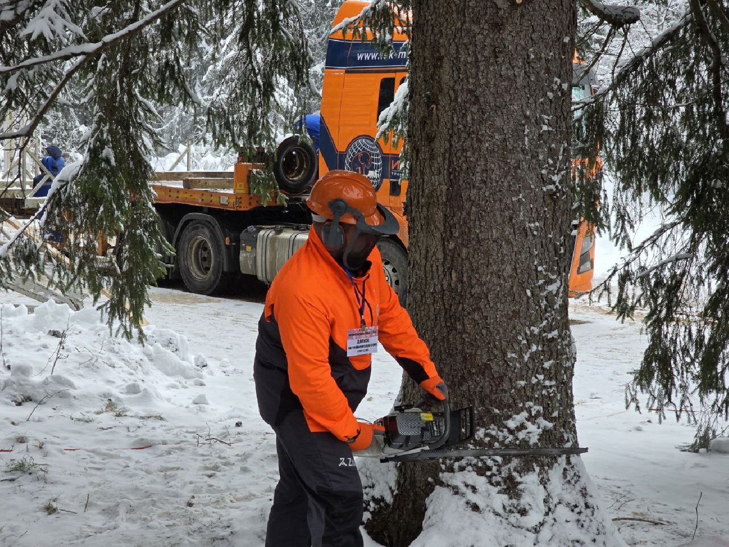 можайск, можайский городской округ, подмосковье, главная елка страны, новый год, праздник, кремль, соборная площадь, спил главной елки страны, московский кремль, вертикалки,