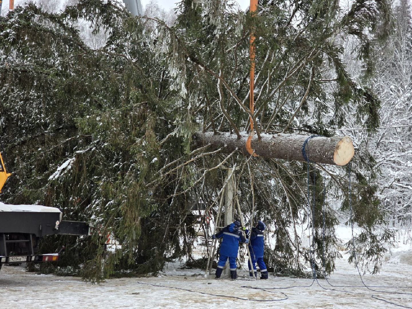 можайск, можайский городской округ, подмосковье, главная елка страны, новый год, праздник, кремль, соборная площадь, спил главной елки страны, московский кремль, вертикалки,