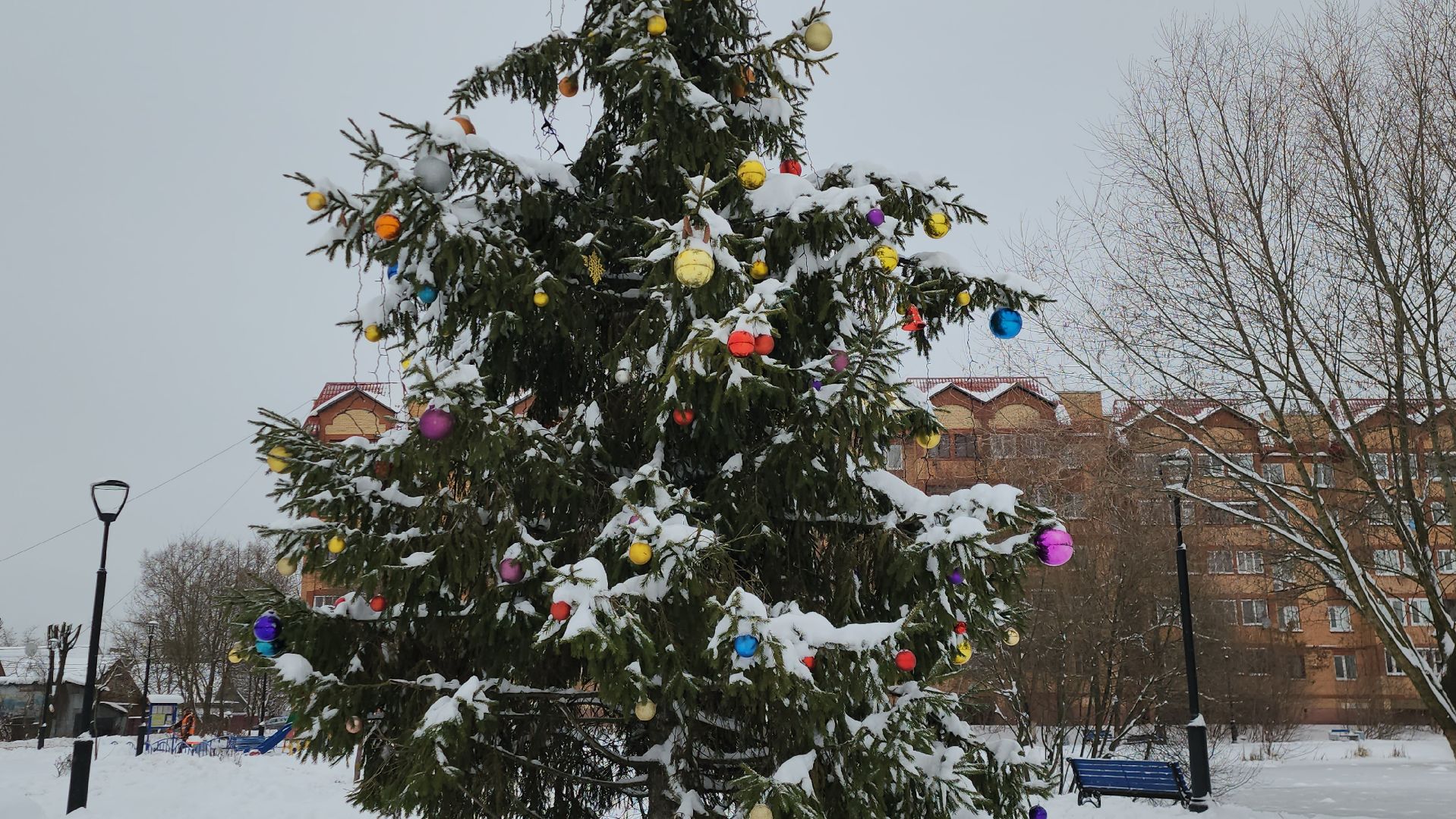 Елка, Новый год, благоустройство, Истра, вертикалки,