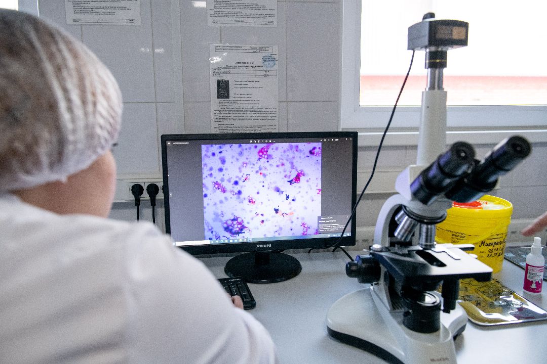 бизнес, закваска, Лыткарино, завод