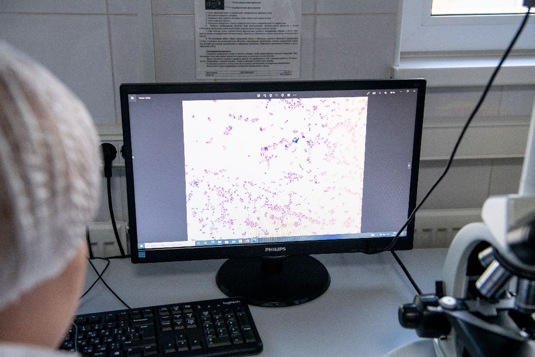 бизнес, закваска, Лыткарино, завод