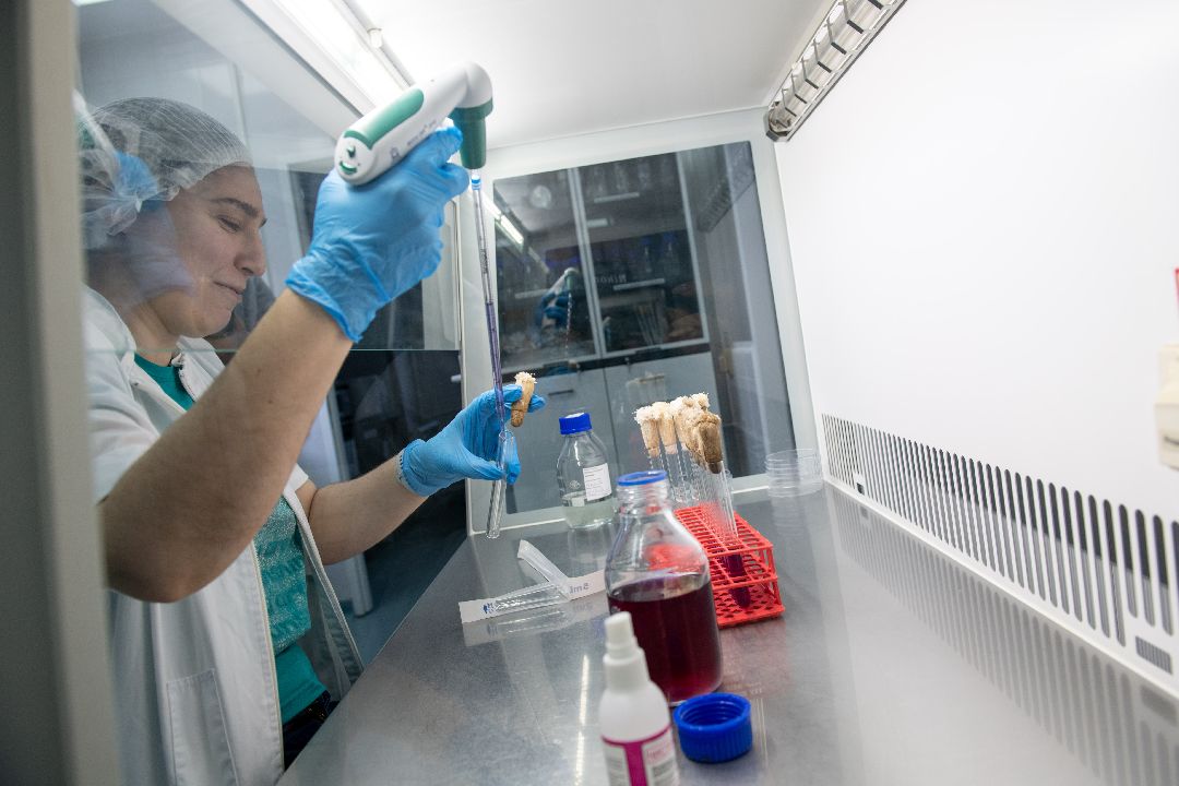 бизнес, закваска, Лыткарино, завод