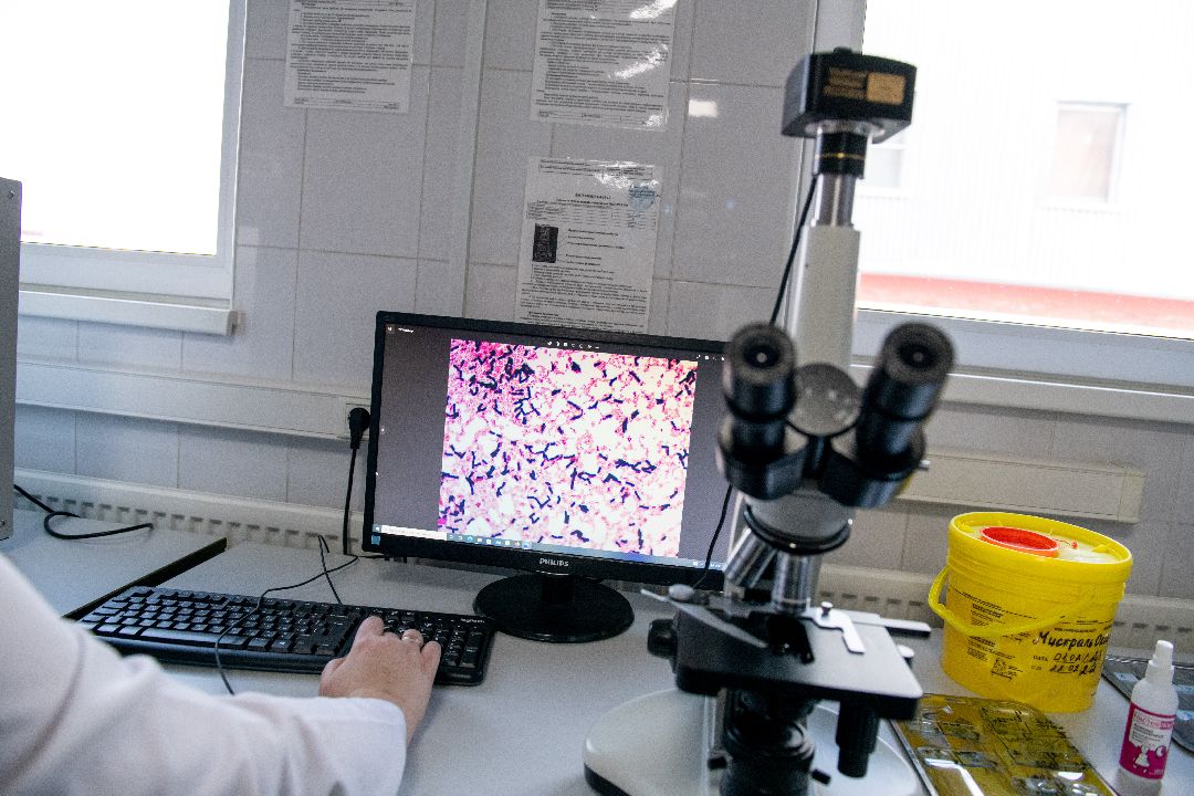 бизнес, закваска, Лыткарино, завод