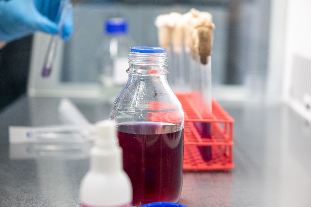 бизнес, закваска, Лыткарино, завод