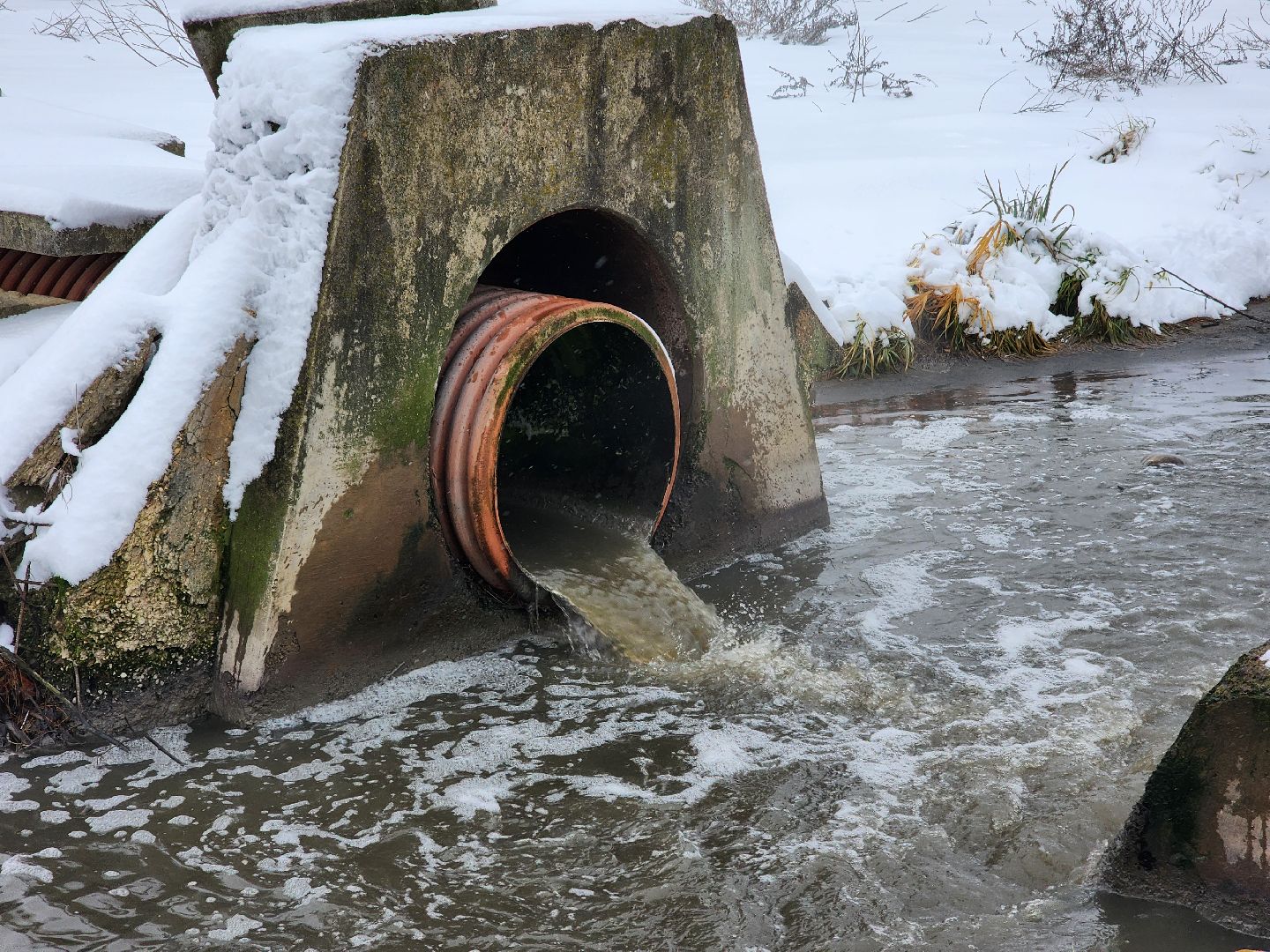одинцово, росприроднадзор, одинцовская теплосеть, ктт-дубки, эклогия, очистные сооружения, река, ликова, вертикальное видео, вертикалка
