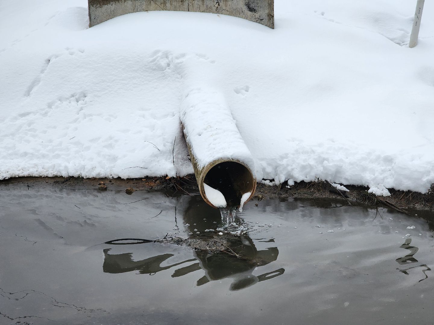 одинцово, росприроднадзор, одинцовская теплосеть, ктт-дубки, эклогия, очистные сооружения, река, ликова, вертикальное видео, вертикалка
