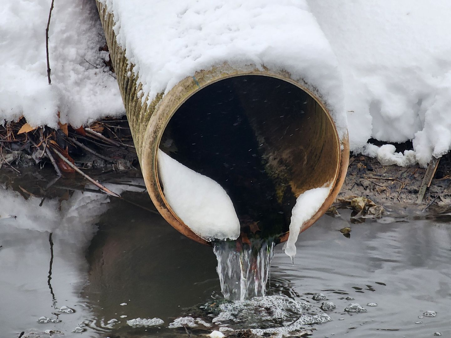 одинцово, росприроднадзор, одинцовская теплосеть, ктт-дубки, эклогия, очистные сооружения, река, ликова, вертикальное видео, вертикалка