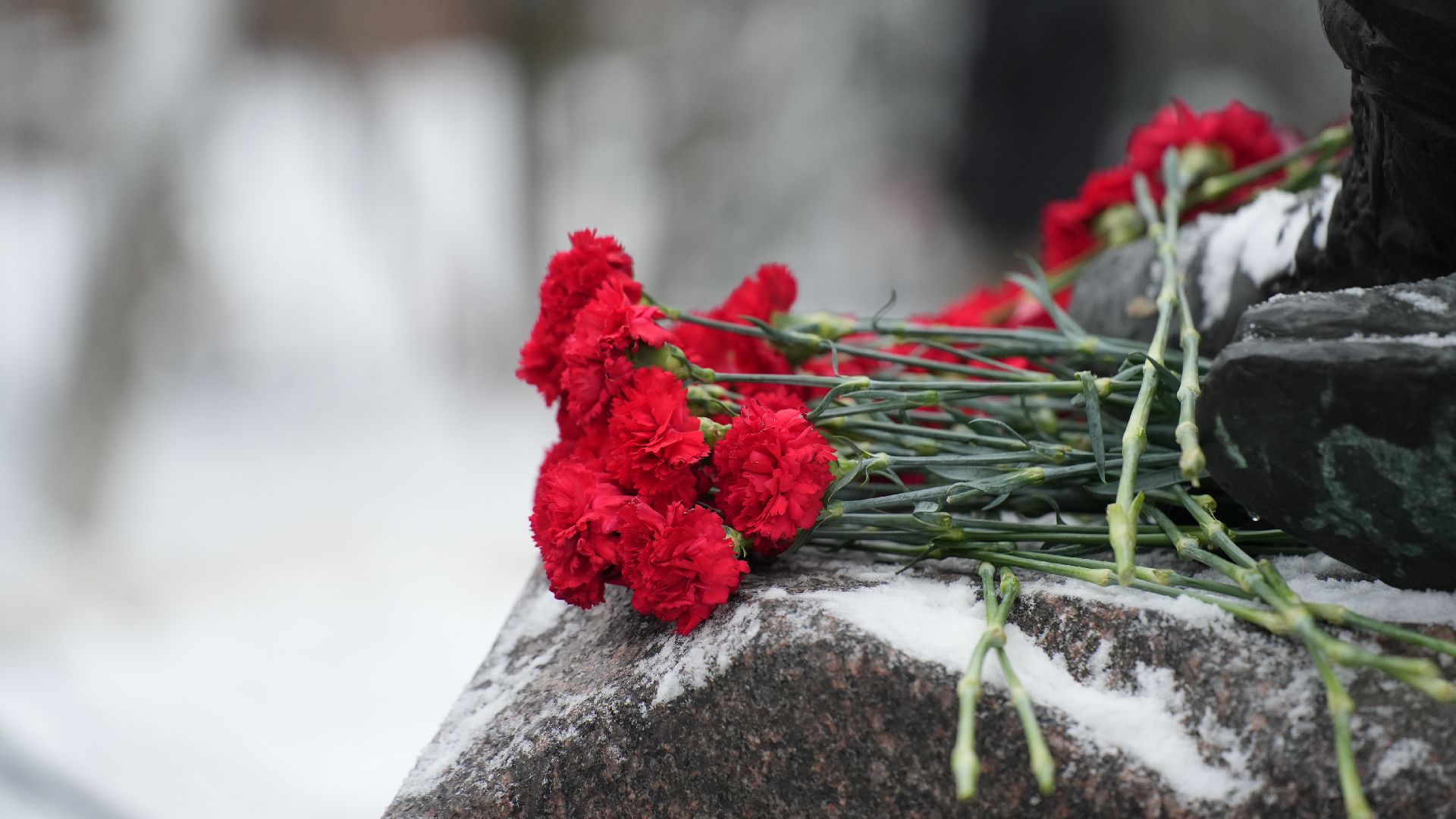 вертикалка, день героев отечества, митинг,