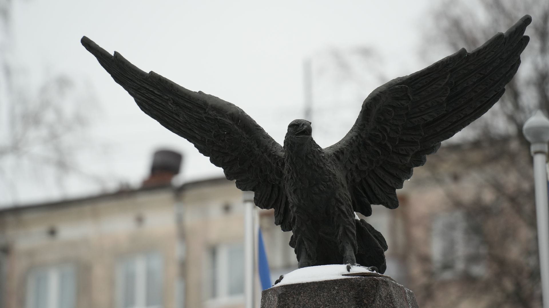 вертикалка, день героев отечества, митинг,