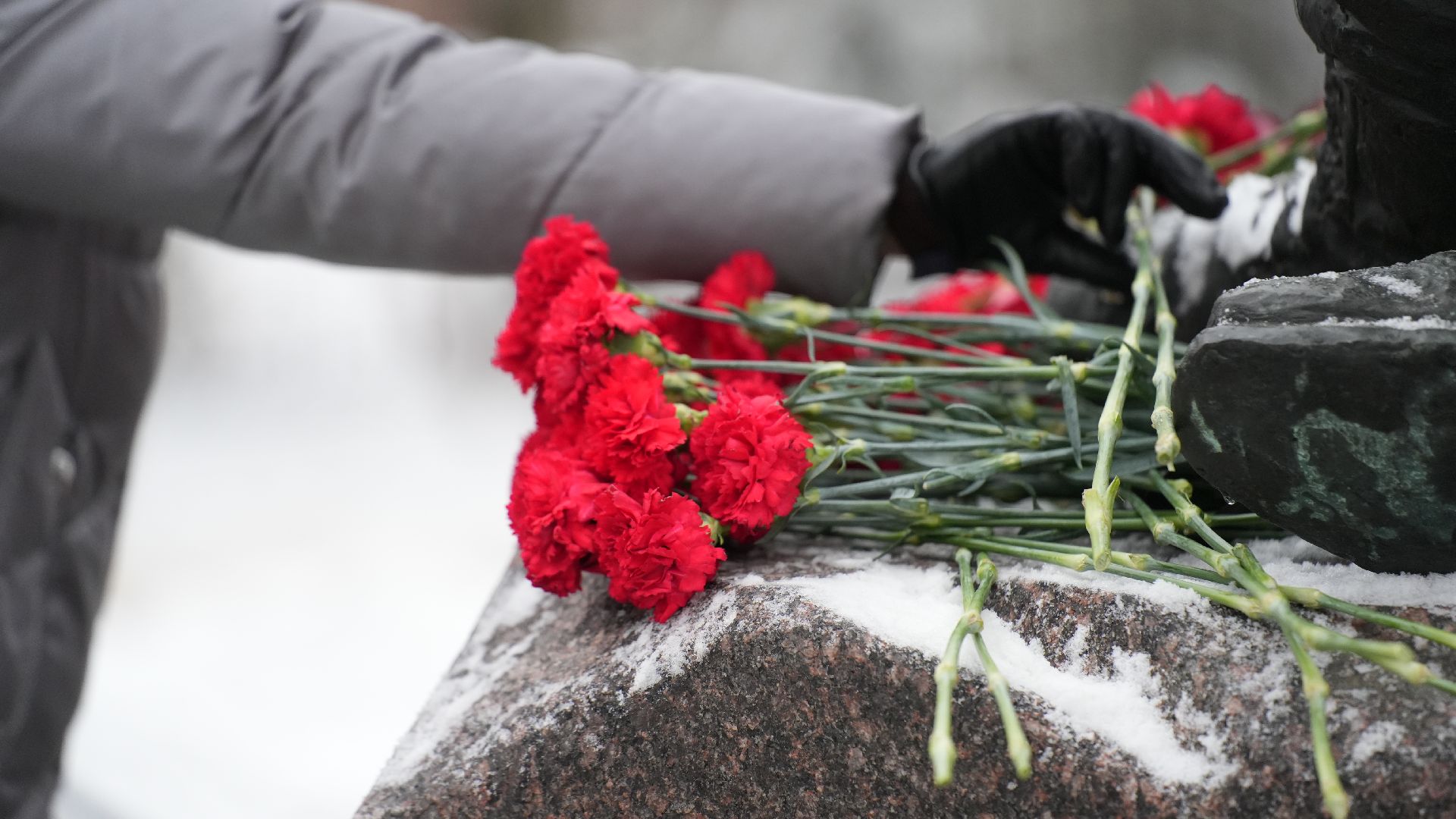 вертикалка, день героев отечества, митинг,