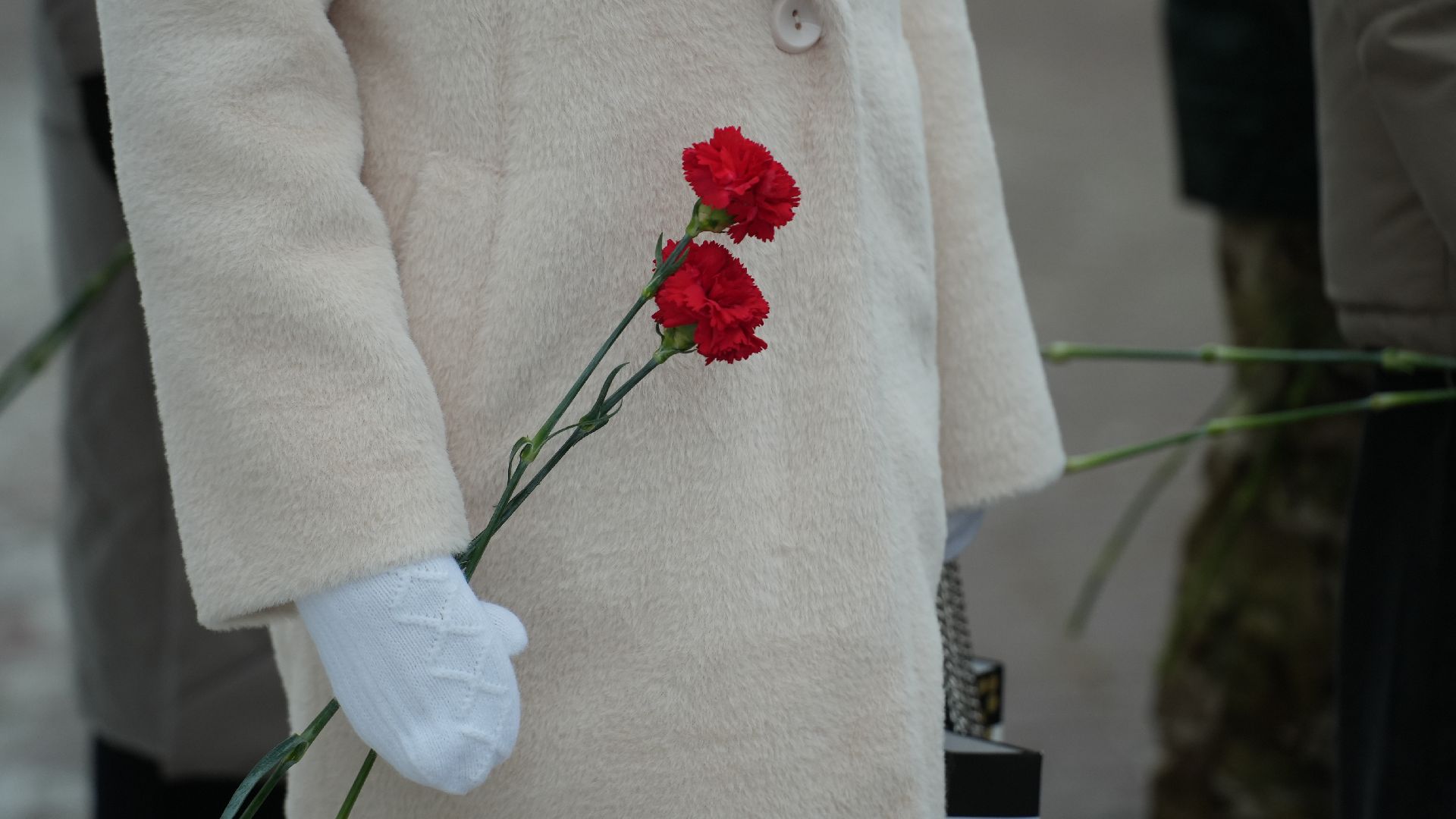 вертикалка, день героев отечества, митинг,