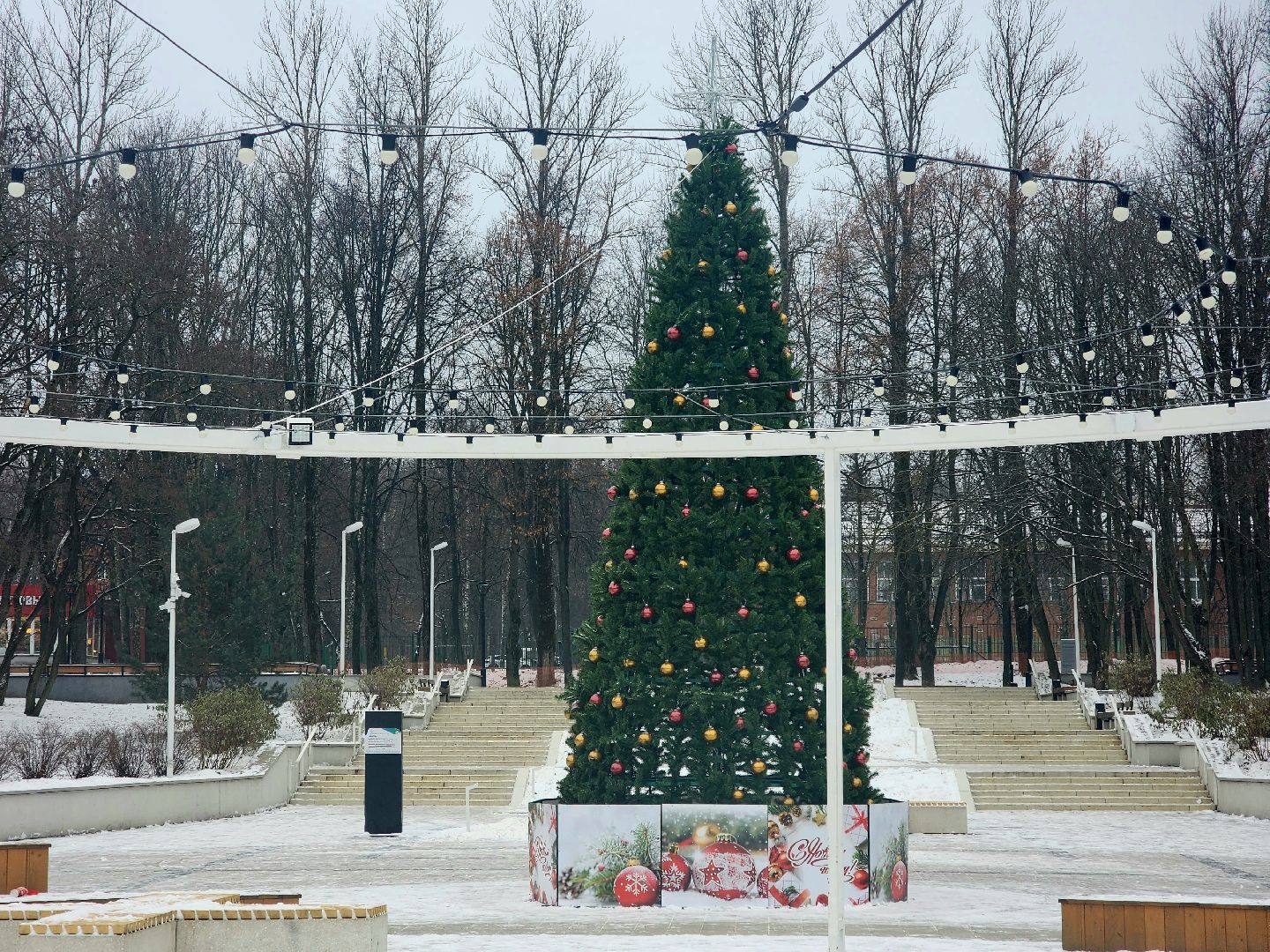 пущино, серпухов, новый год, ёлка, вертикалки,