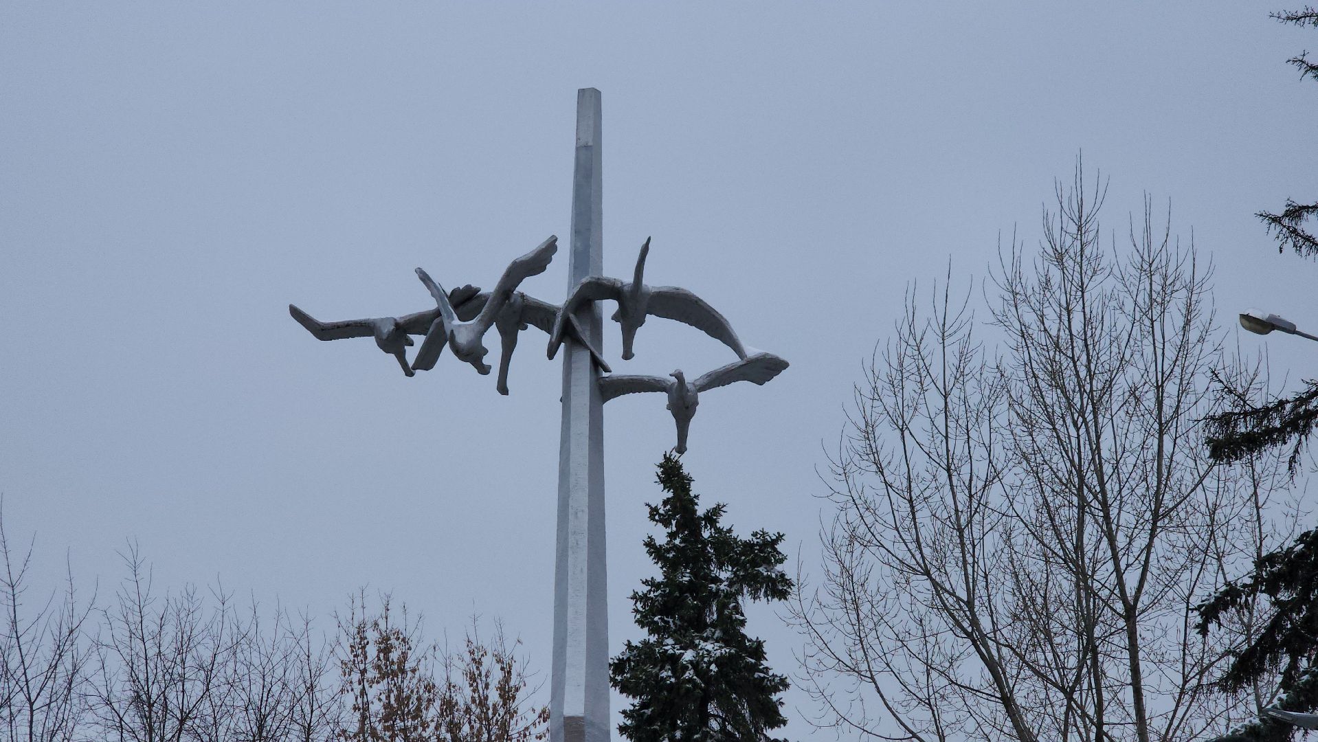 котельники, митинг памяти, возложение цветов, вертикалка,