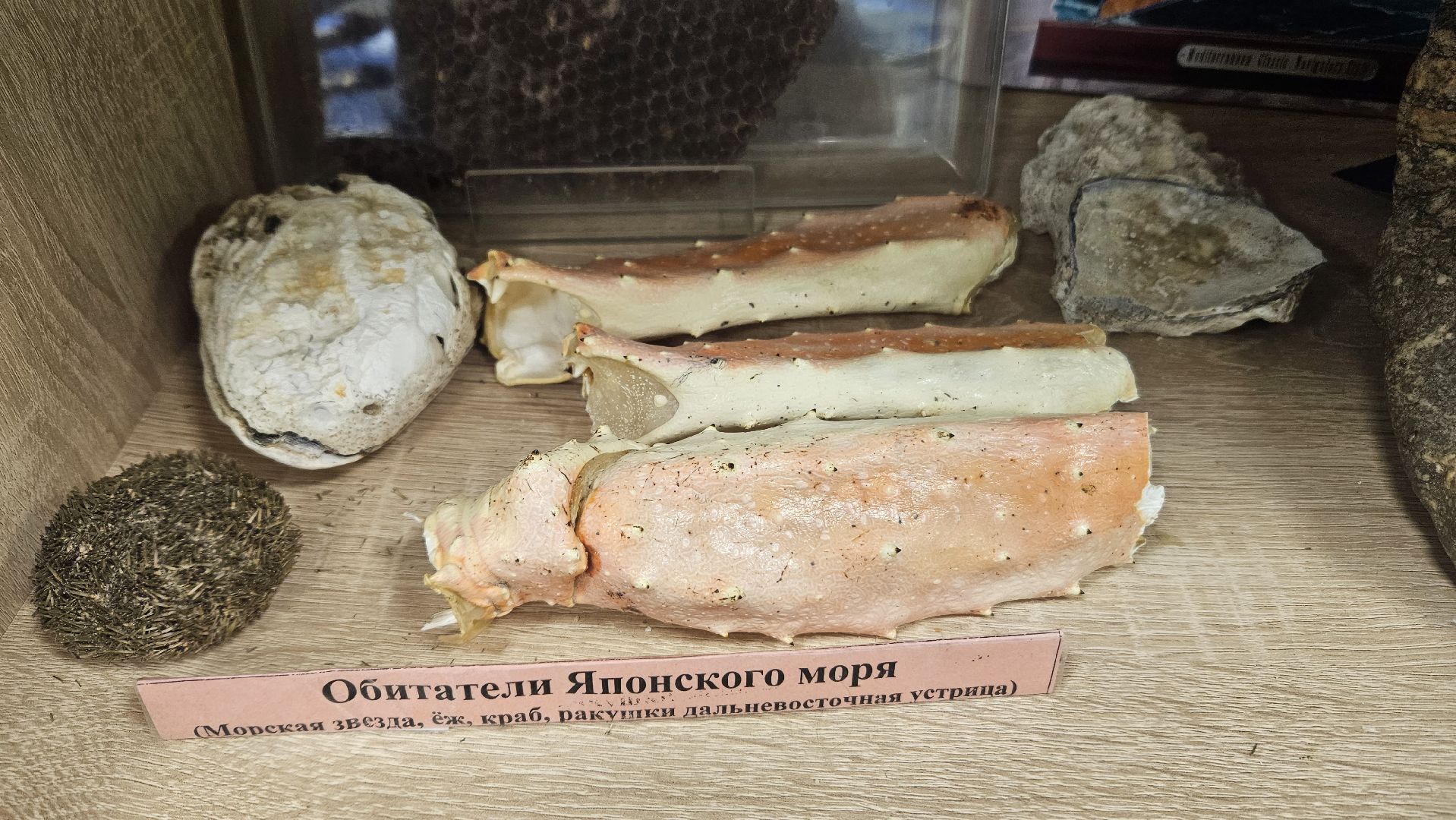 Эко-волонтеры, Туризм, заповедник, Геология,