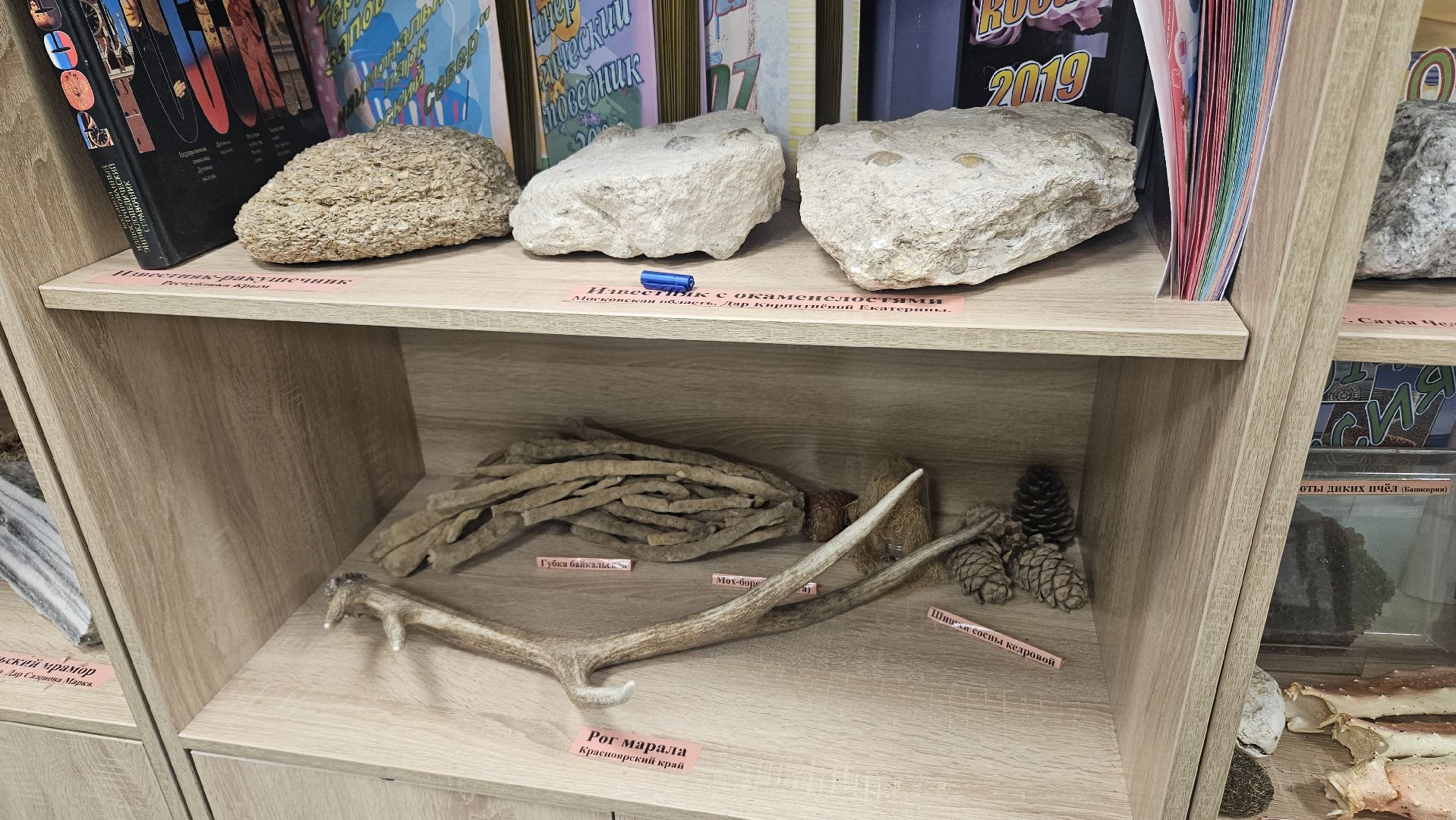 Эко-волонтеры, Туризм, заповедник, Геология,