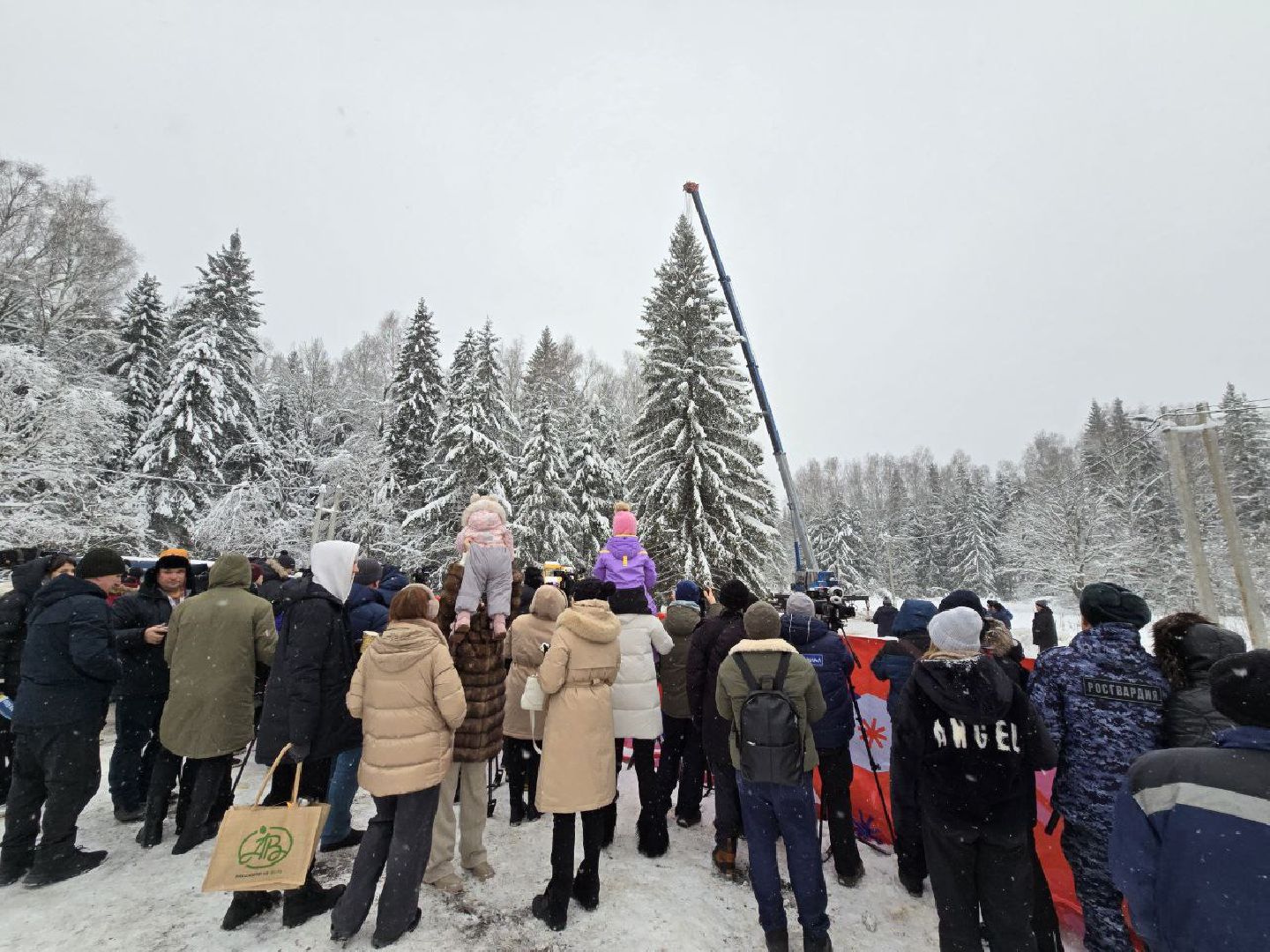 можайск, можайский городской округ, подмосковье, росгвардия, силовые структуры, общественный порядок, служба, новый год, кремлевская елка, главная елка страны, вертикалки,