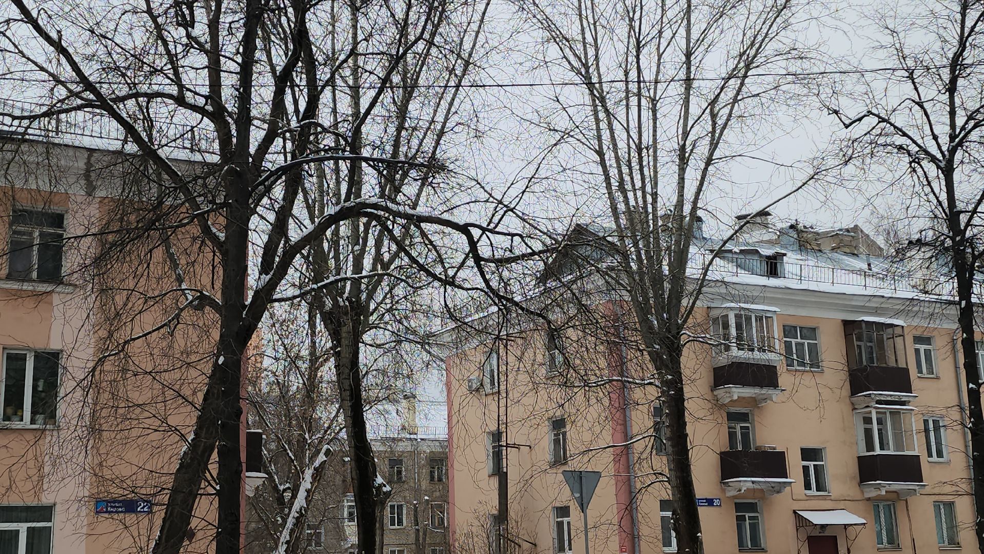 люберцы, выездная администрация, санитарная обрезка деревьев, вертикалка,