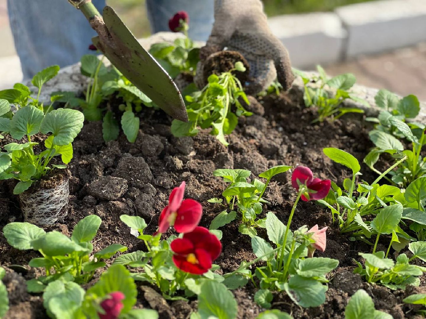 Подольск, благоустройство