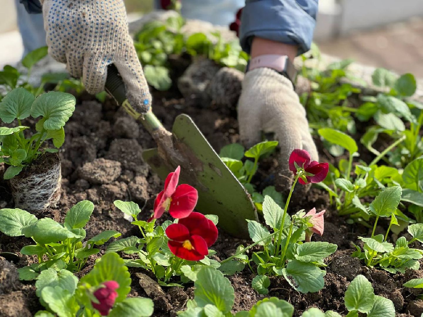 Подольск, благоустройство