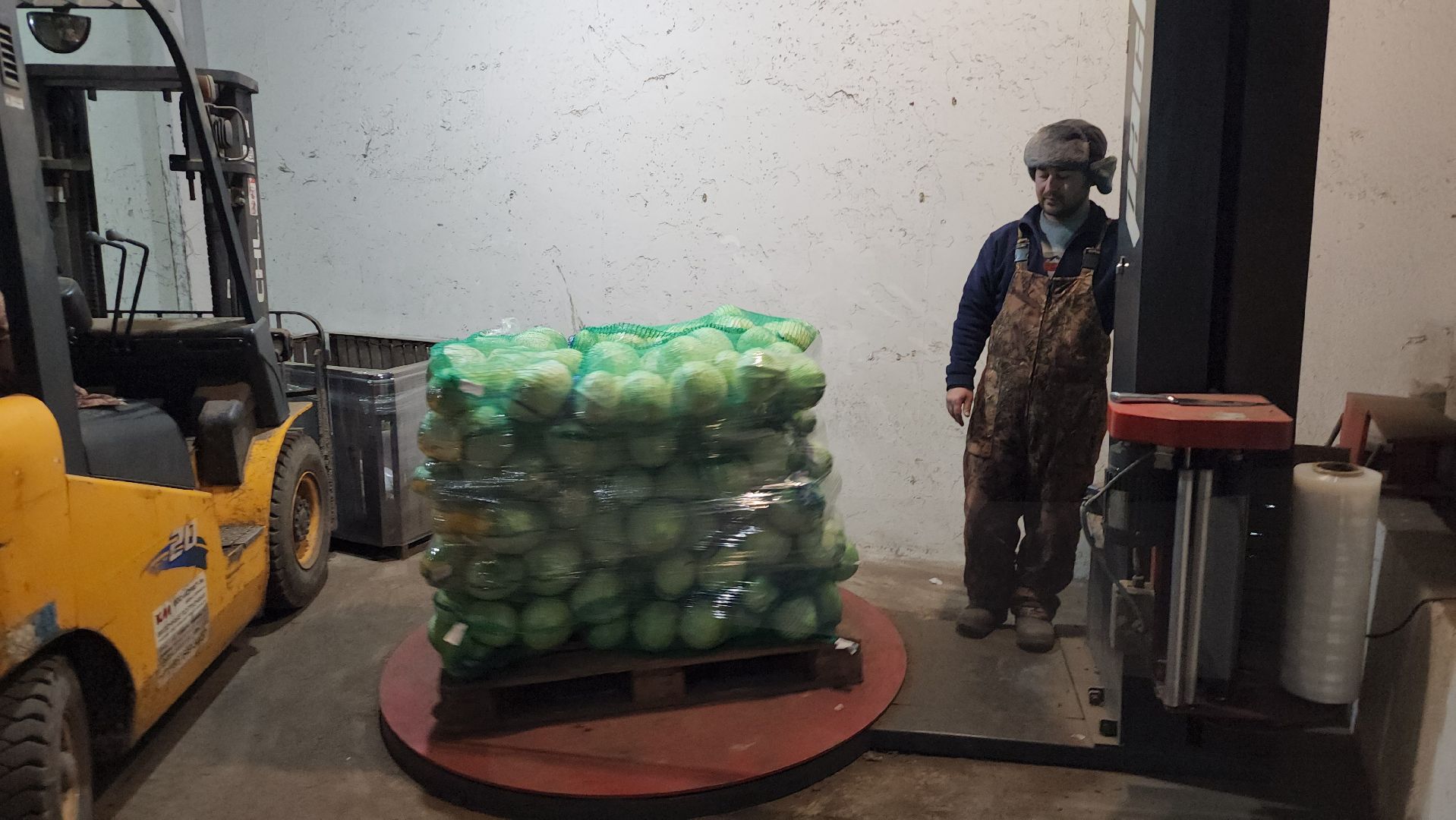 серпухов, ао дашковка, сельское хозяйство, овощная база, капуста,