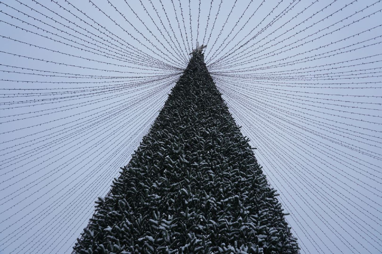 Новый год, Благоустройство, Украшение, Елка, Сергиев Посад, Сергиево-Посадский городской округ, вертикалки,