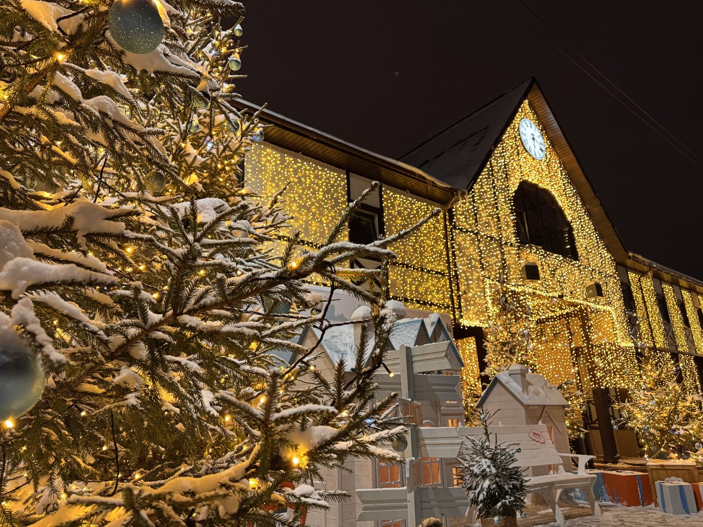 Одинцовский парк, Лыжный сезон, трассы готовы,вертикалка, вертикальное видео,