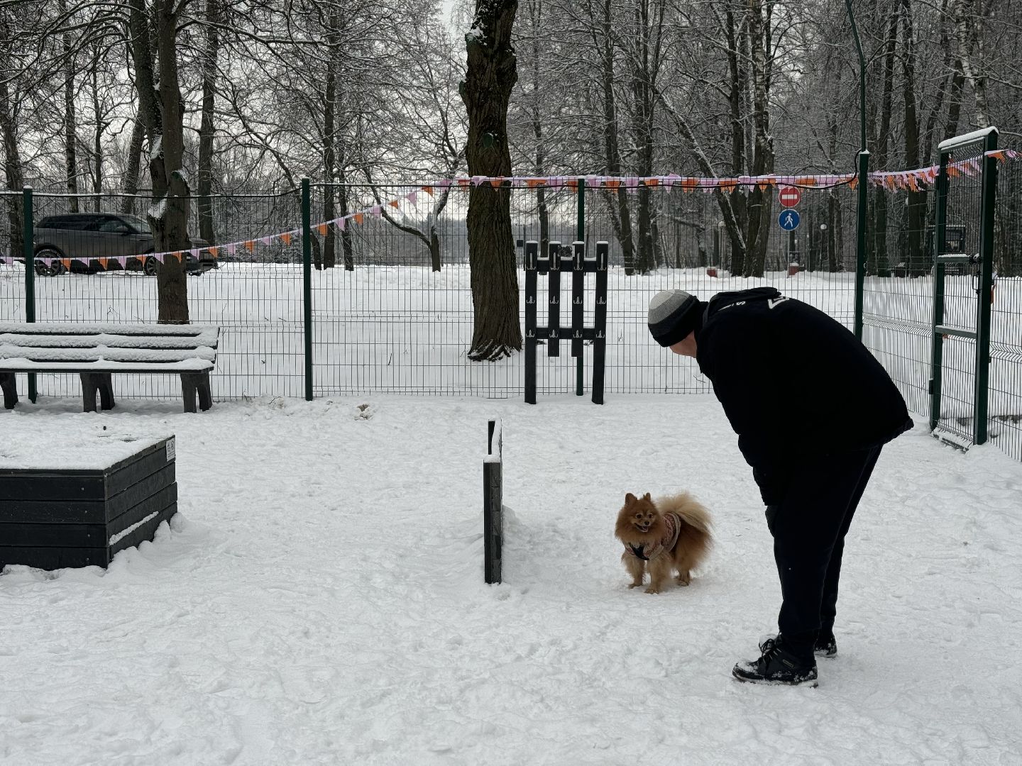 Кинологическая площадка, музей-заповедник горки ленинские, площадка для собак, четвероногий друг, Компания Четыре лапы,