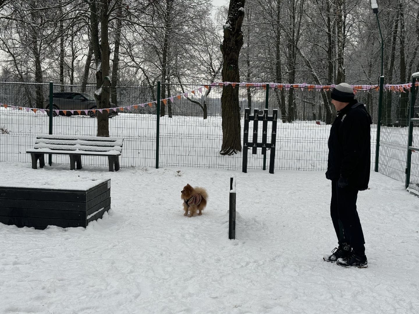 Кинологическая площадка, музей-заповедник горки ленинские, площадка для собак, четвероногий друг, Компания Четыре лапы,