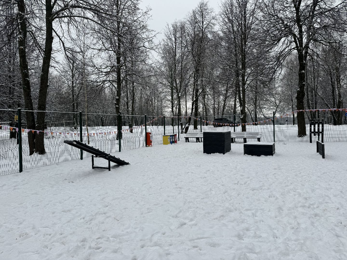 Кинологическая площадка, музей-заповедник горки ленинские, площадка для собак, четвероногий друг, Компания Четыре лапы,