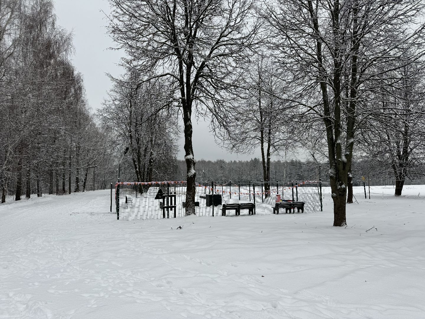 Кинологическая площадка, музей-заповедник горки ленинские, площадка для собак, четвероногий друг, Компания Четыре лапы,