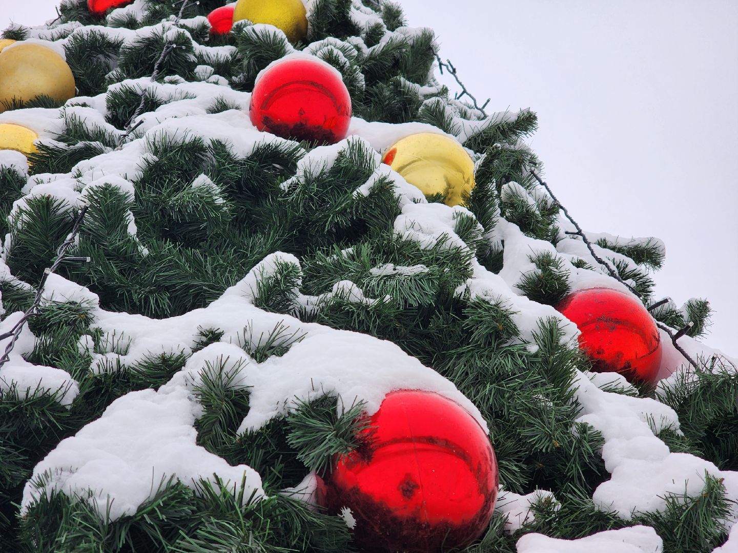 вертикалки, королёв,