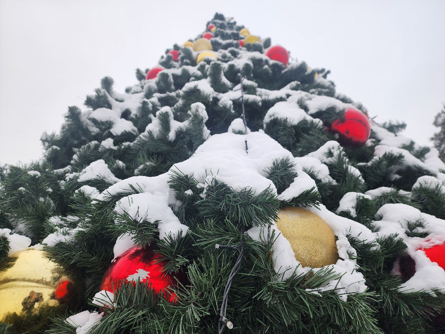 вертикалки, королёв,