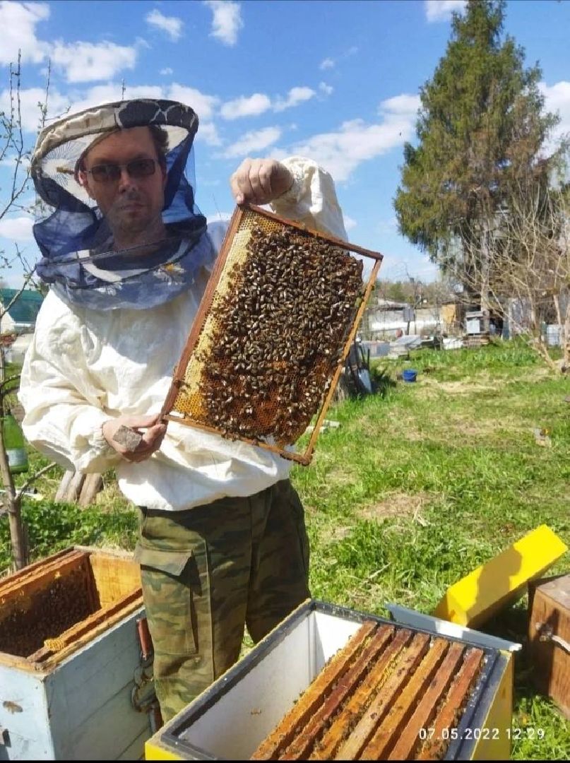 шатура, мёд, дети, зима, общество, Обшество дети,