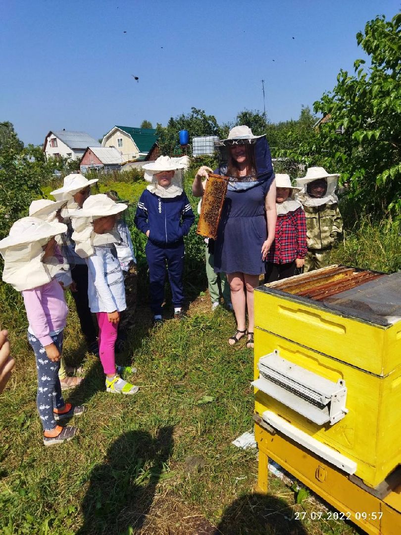 шатура, мёд, дети, зима, общество, Обшество дети,
