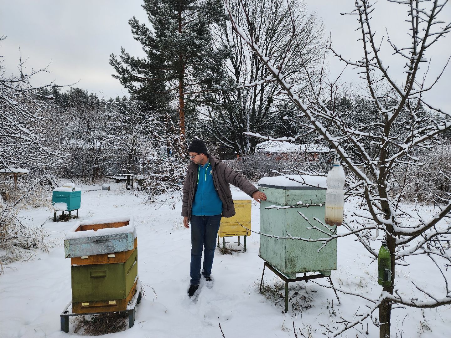 шатура, мёд, дети, зима, общество, Обшество дети,