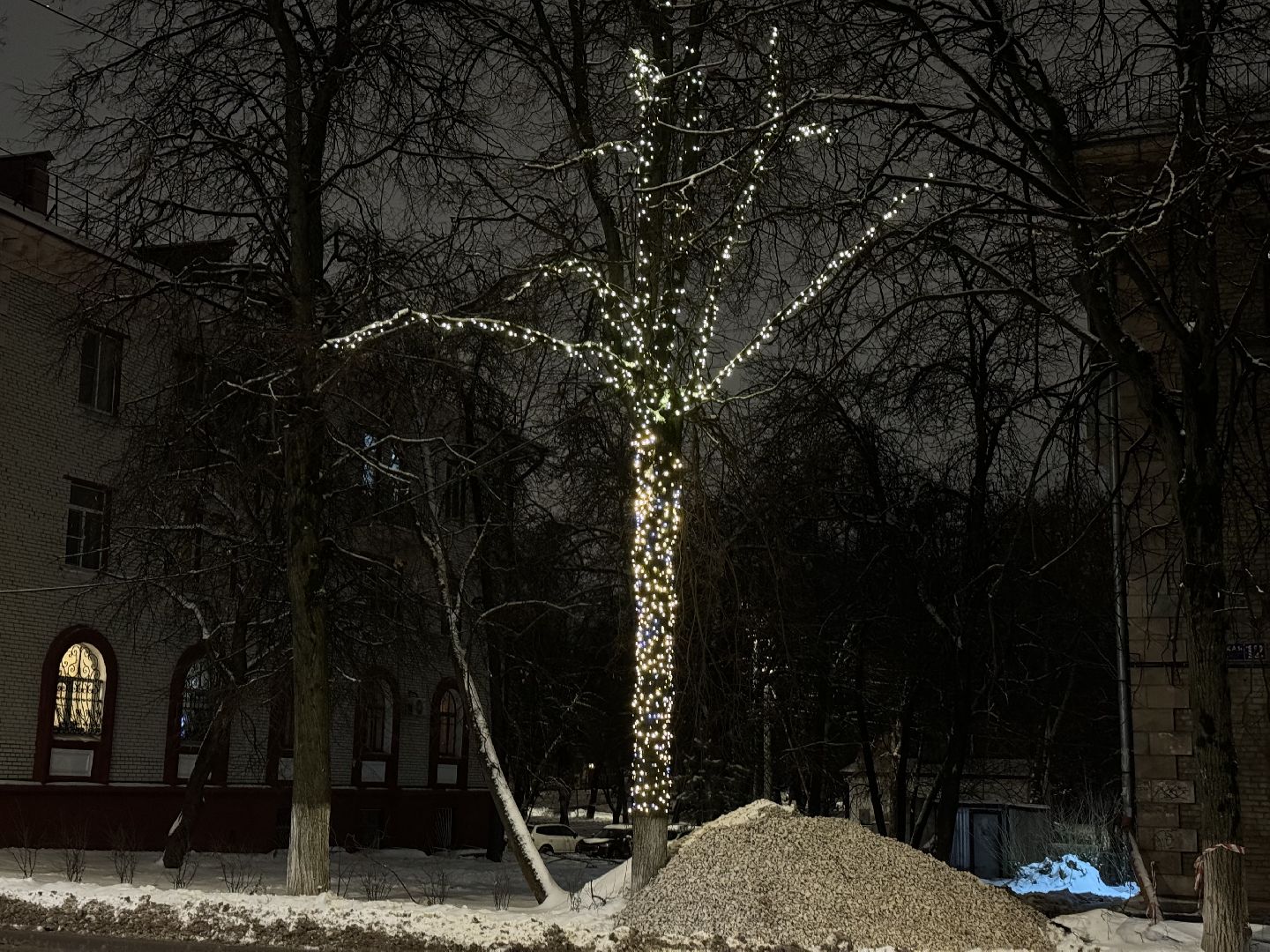 новогоднее оформление, новогодние елки, иллюминация, зима в подмомсковье, зима в парках, Город видное, вертикалки