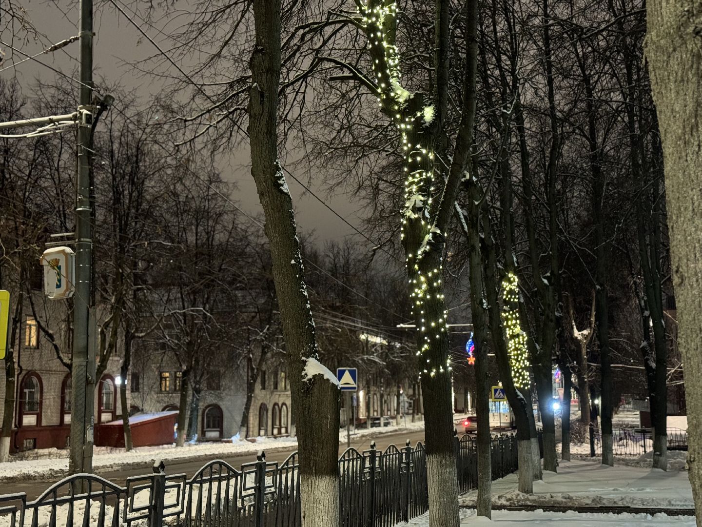 новогоднее оформление, новогодние елки, иллюминация, зима в подмомсковье, зима в парках, Город видное, вертикалки