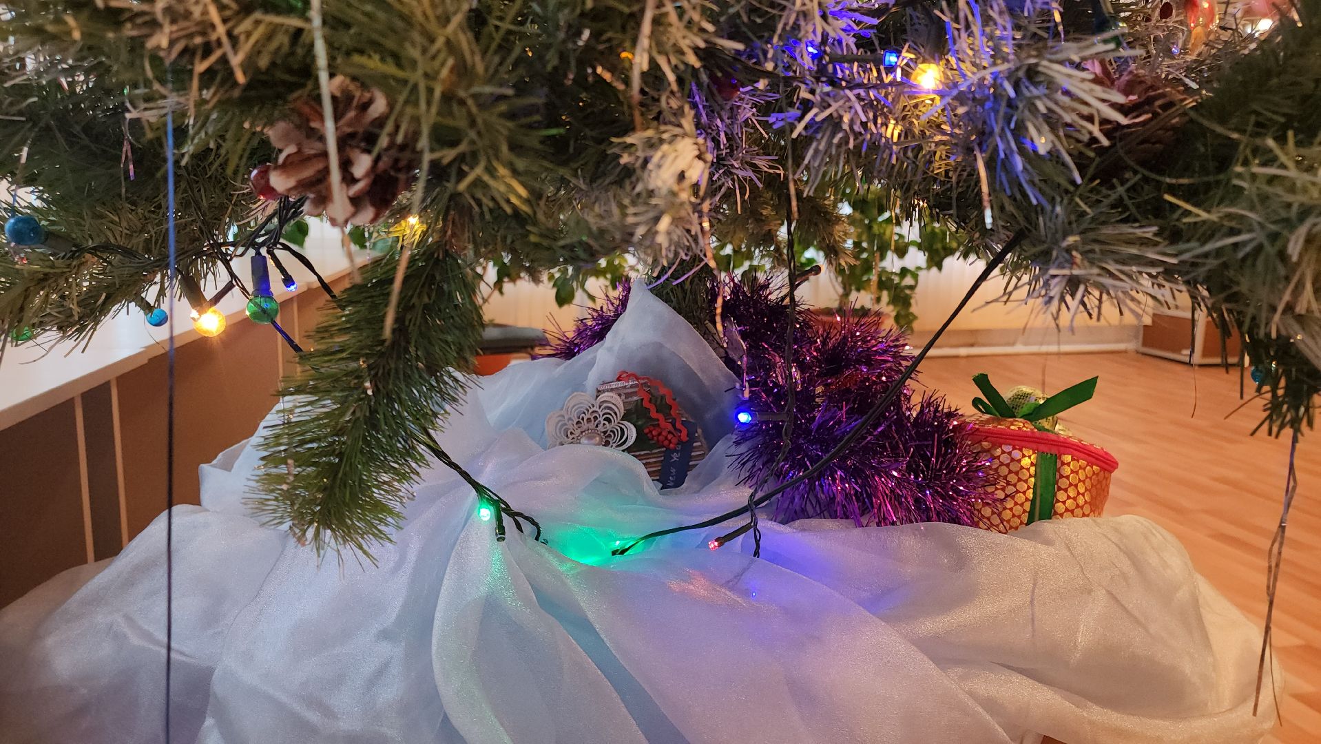 кашира, библиотека, новый год,