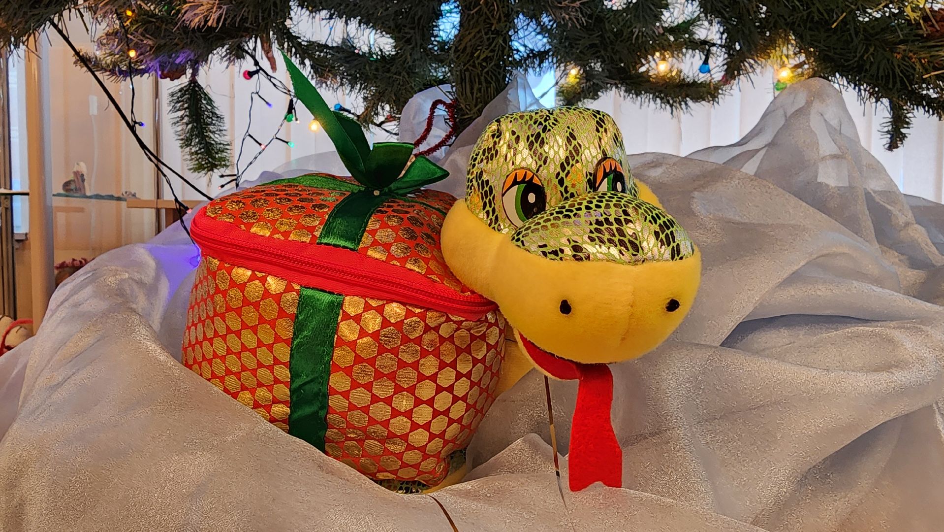 кашира, библиотека, новый год,