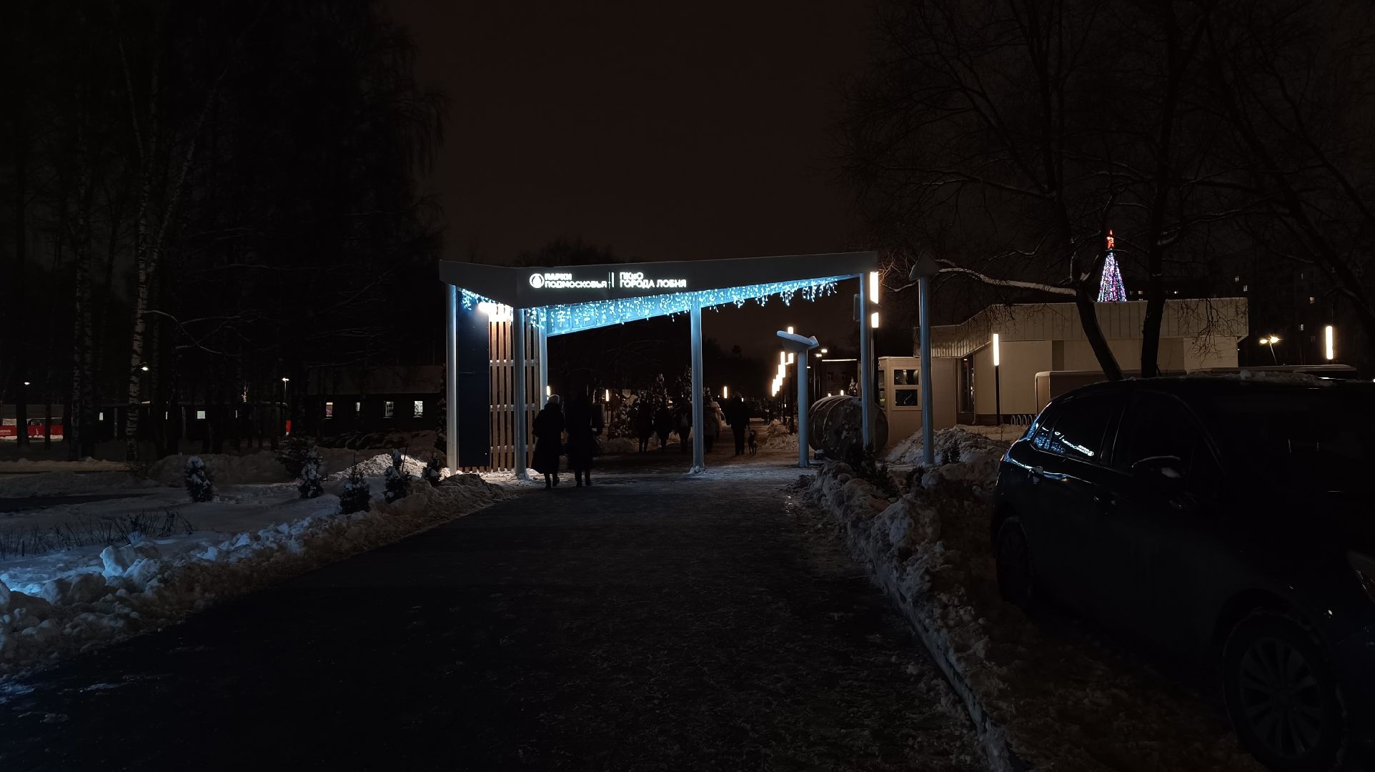 украшение города, новый год, лобня, вертикалки,