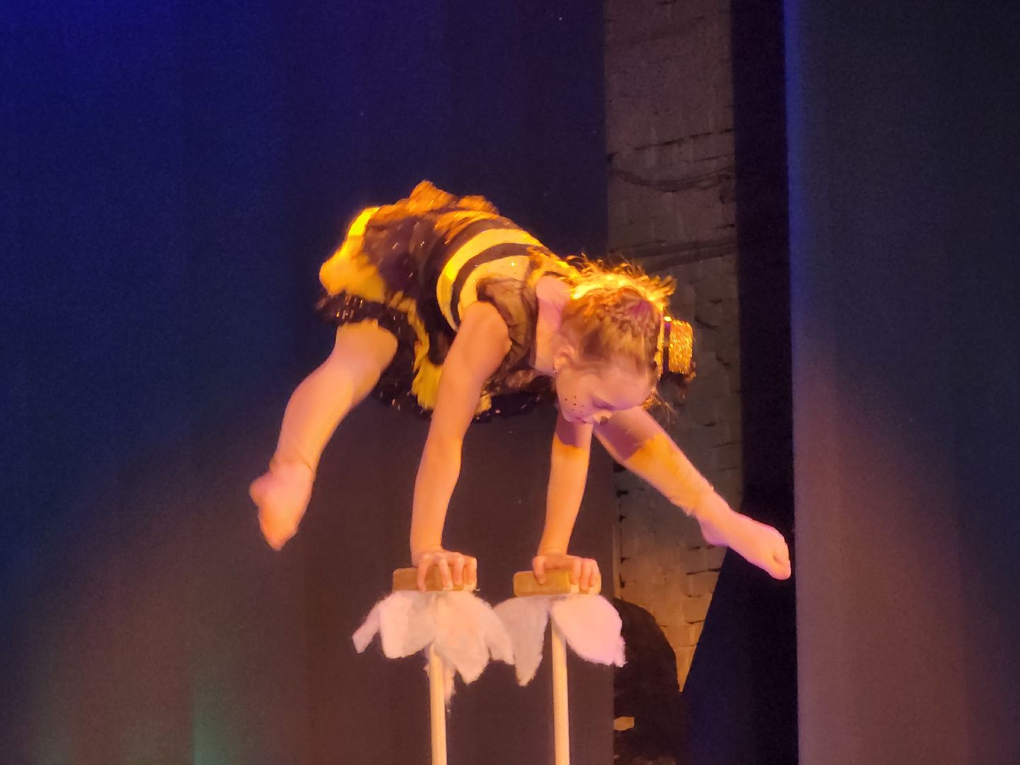 подольск, дети, цирк, выступление,