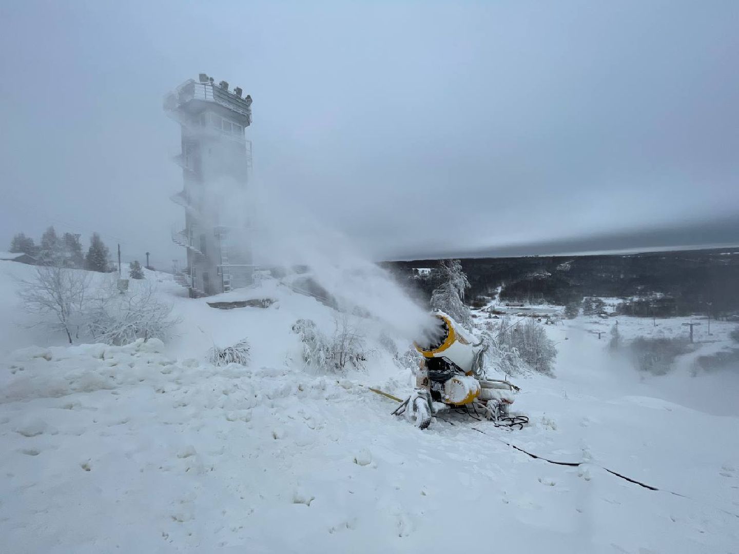 дмитров, туризм, минспорта,