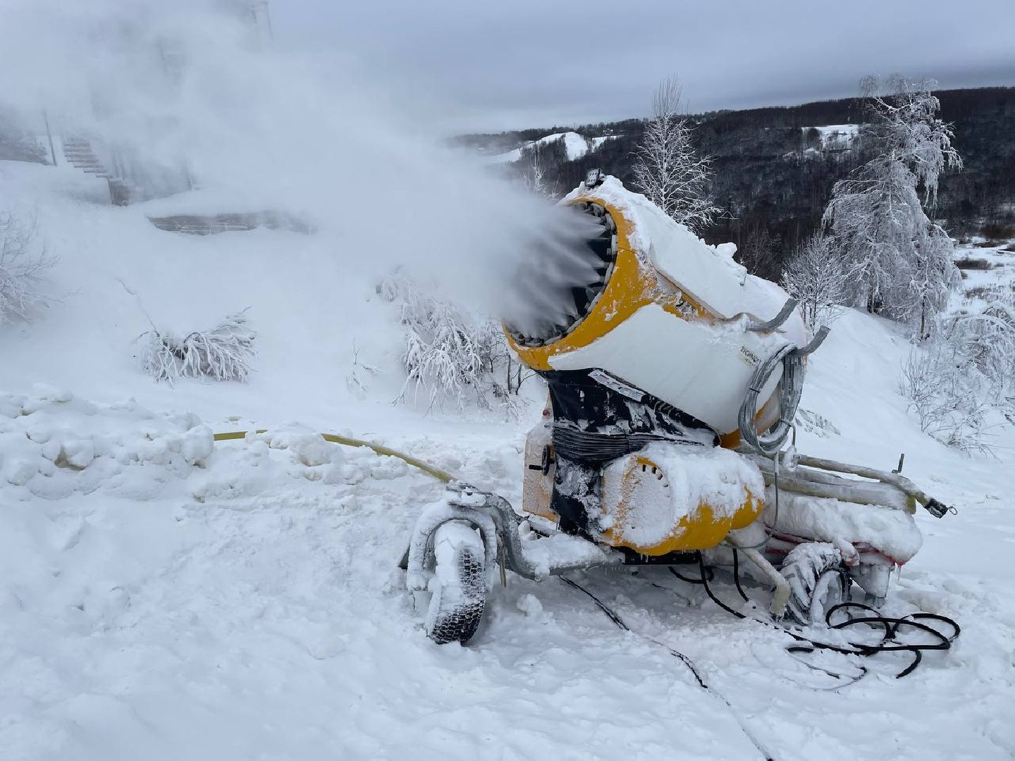 дмитров, туризм, минспорта,