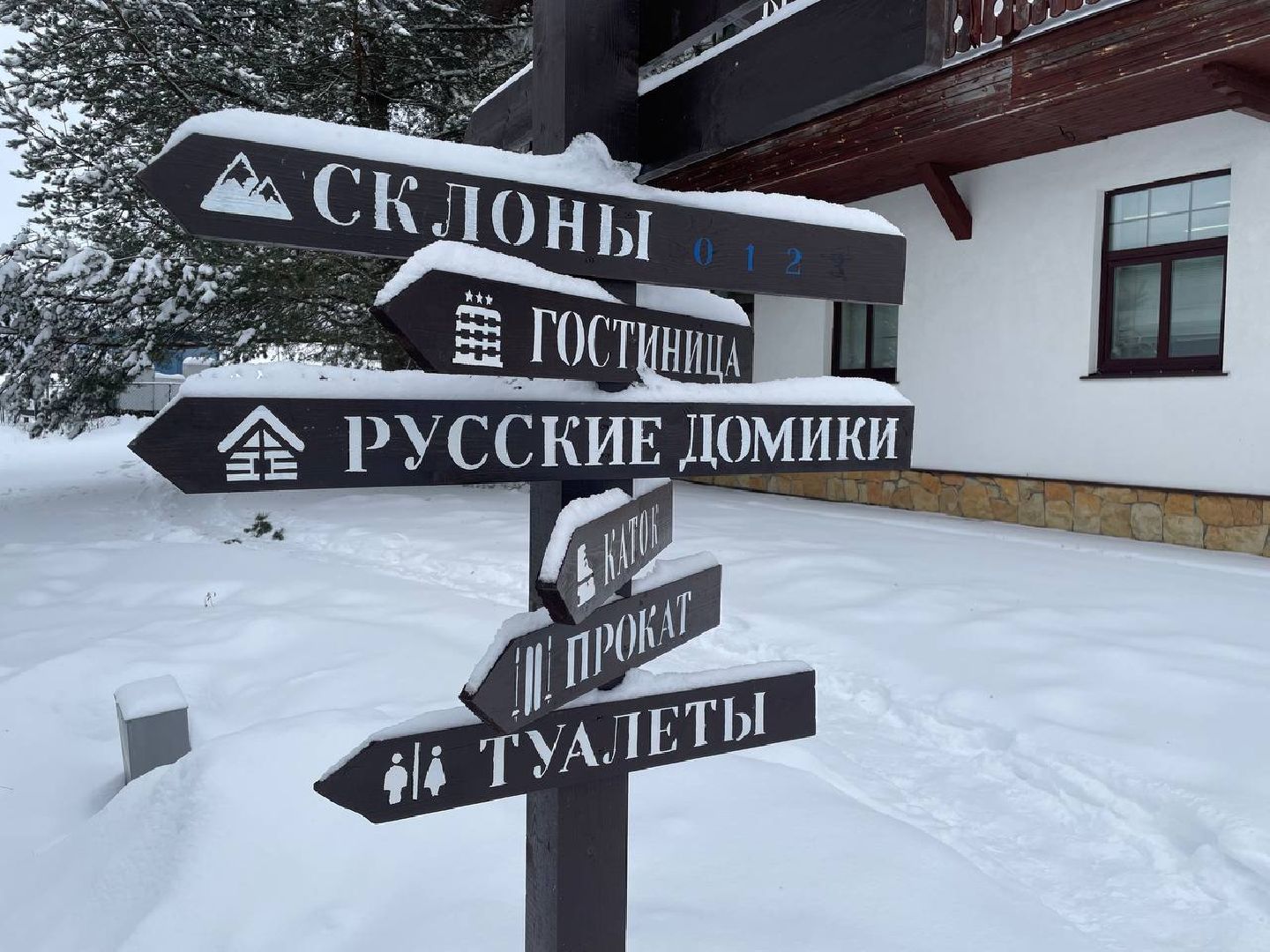 дмитров, туризм, минспорта,