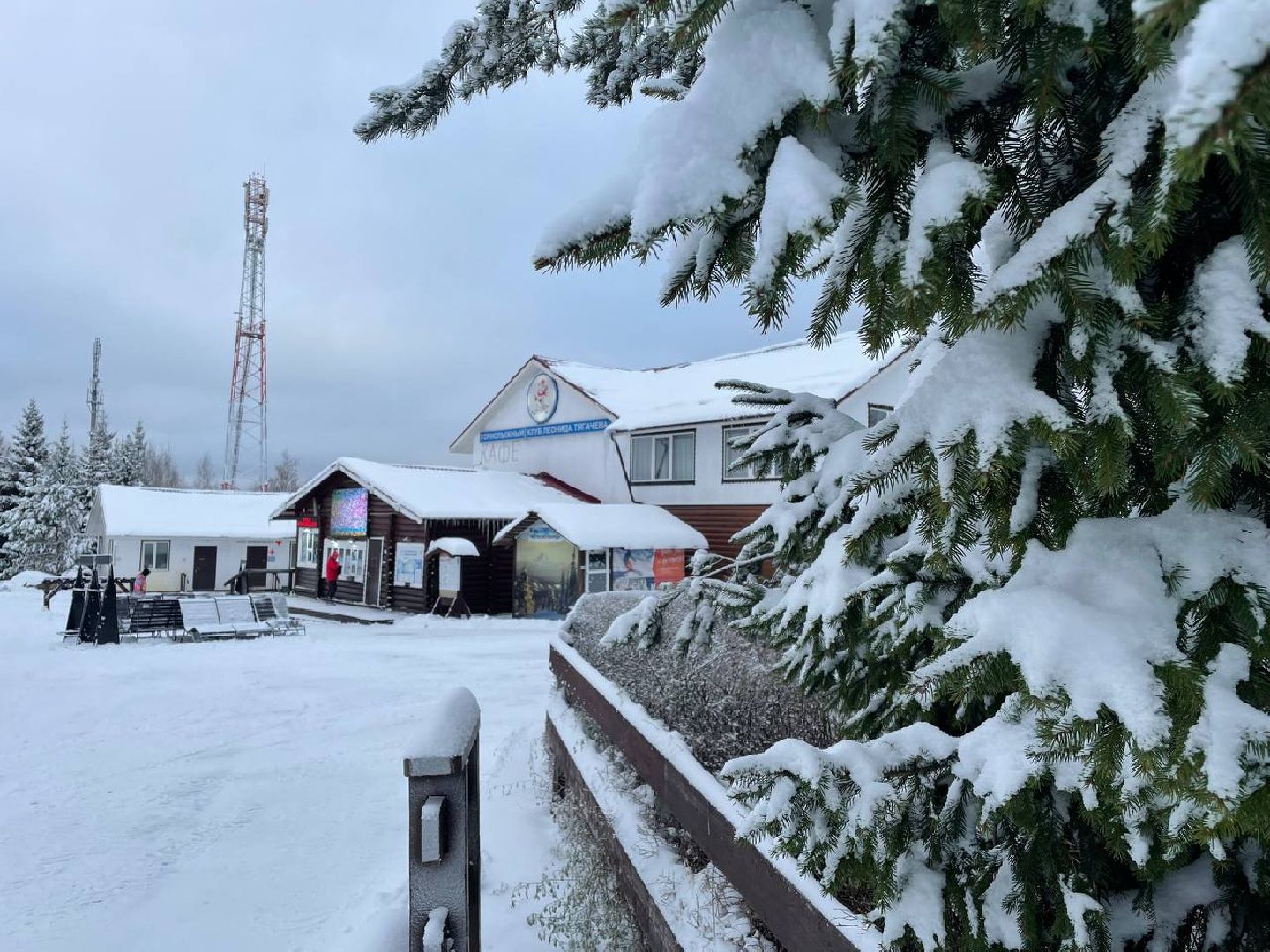 дмитров, туризм, минспорта,